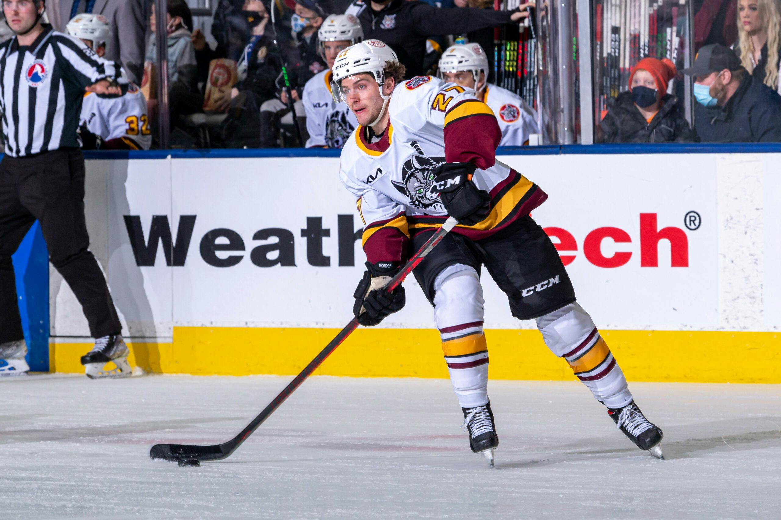 Hurricanes sign three-year AHL affiliation agreement with Chicago Wolves