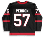 David Perron