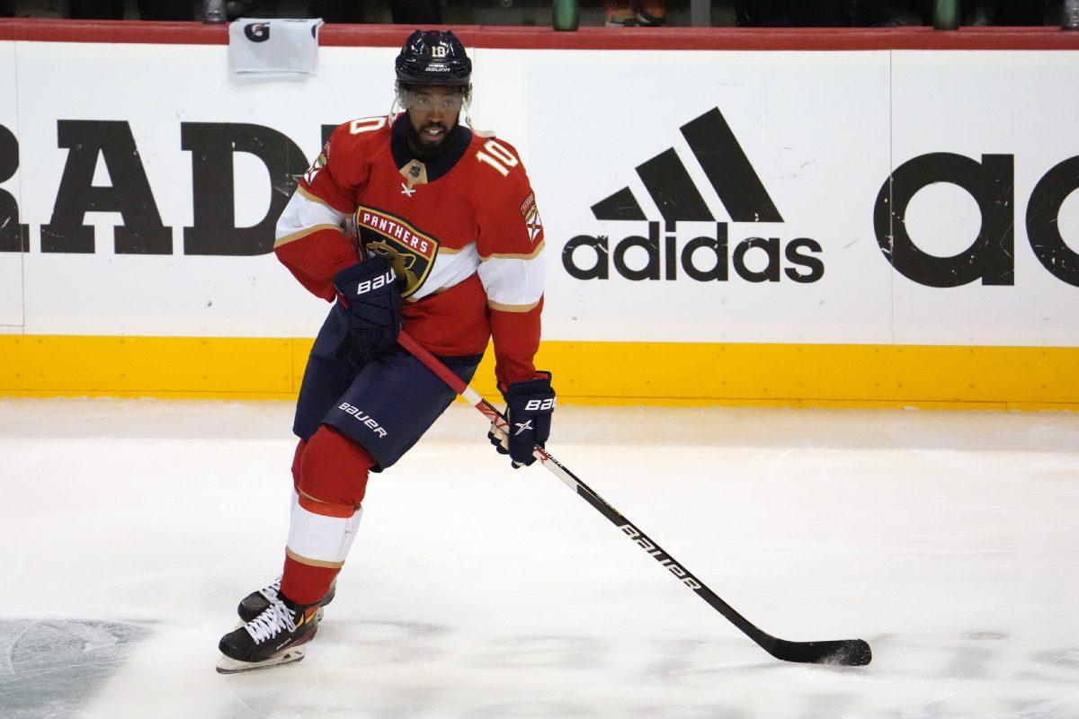 Florida Panthers activate Anthony Duclair off LTIR, Bennett and Barkov day  to day - Daily Faceoff