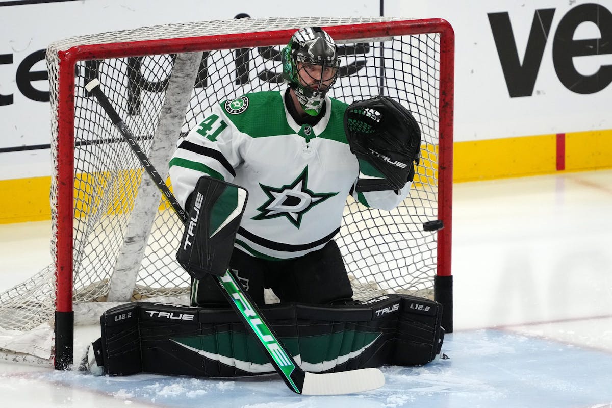 Stars goalie Scott Wedgewood 'day-to-day' after scary injury