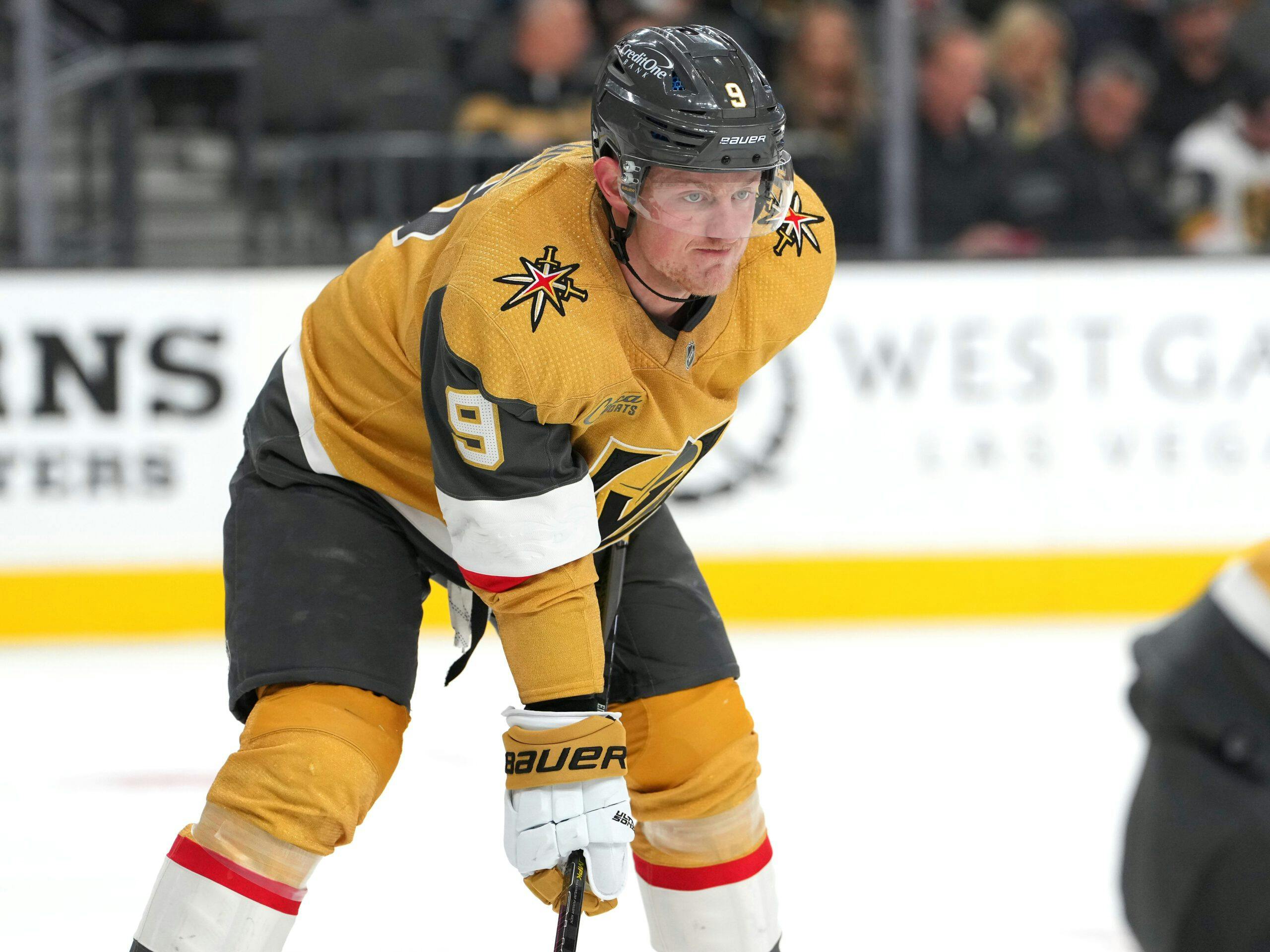 Vegas Golden Knights Announce Current Roster