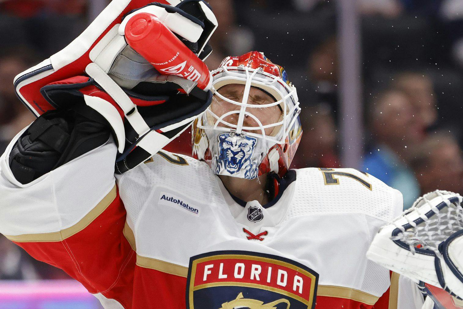 Looking Ahead at the Florida Panthers: Goaltending
