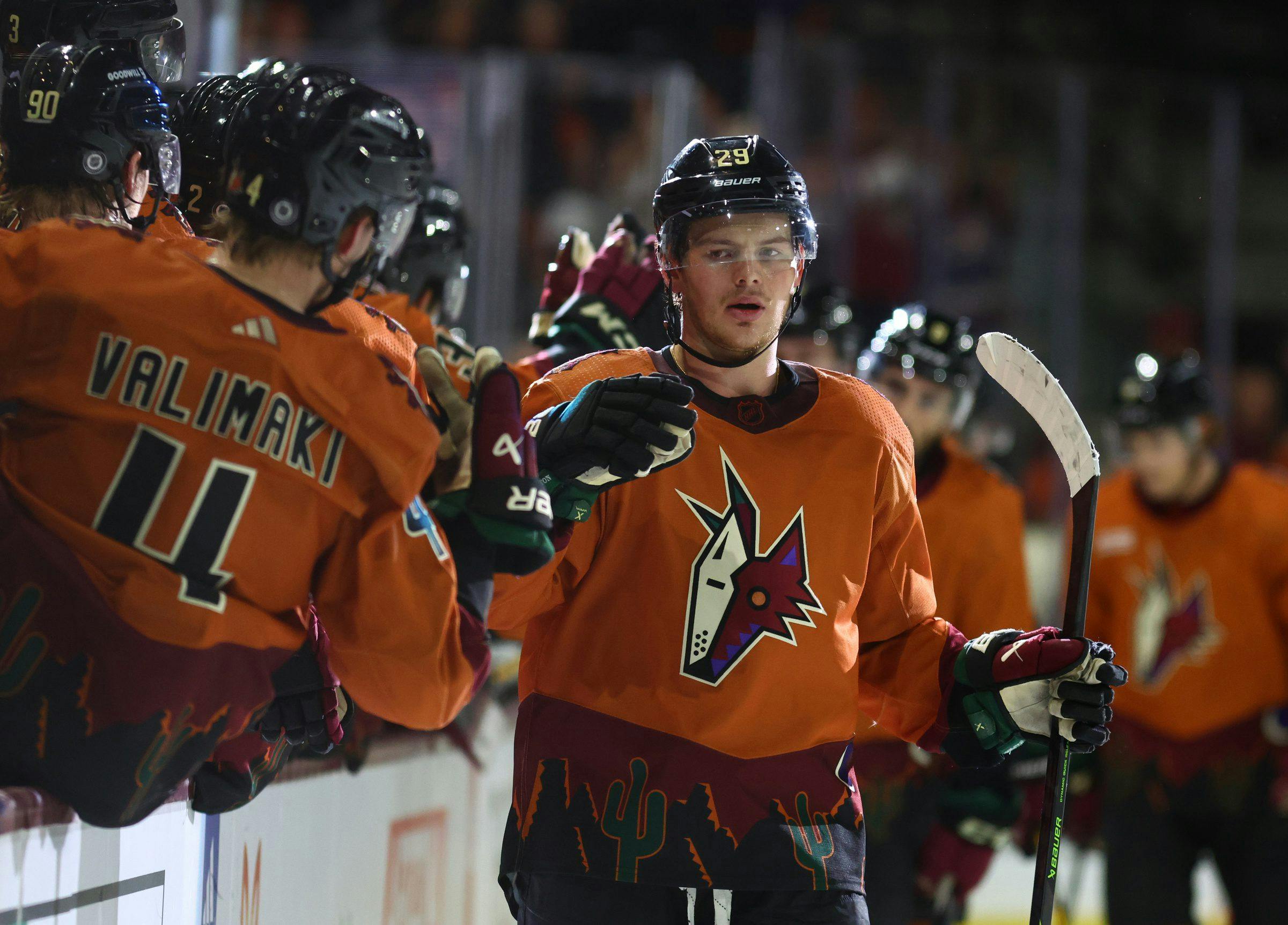 The Arizona Coyotes Cool Off to End the 2022-2023 Season - BVM Sports