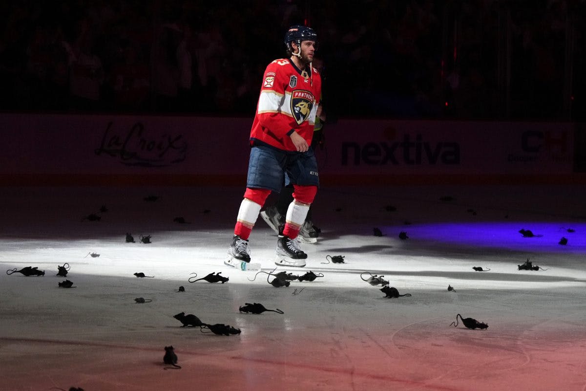 3rd game of the Stanley Cup finals goes to the Panthers! Let's go