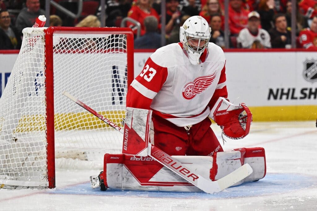 2023–24 NHL team preview: Detroit Red Wings - Daily Faceoff