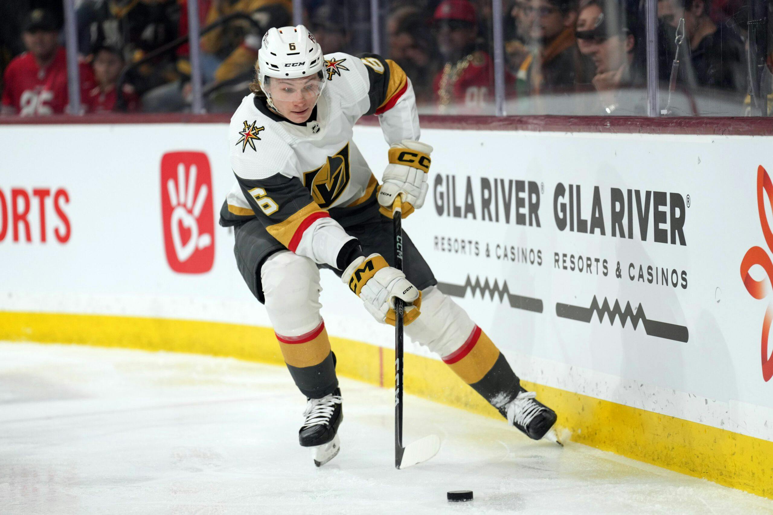 Jays' hockey-loving prospect picks Bruins to win Stanley Cup