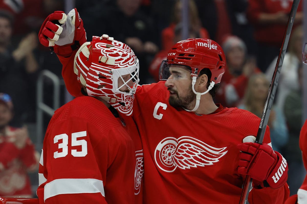 Red Wings' Goaltending Ranks Fifth in the Atlantic Division