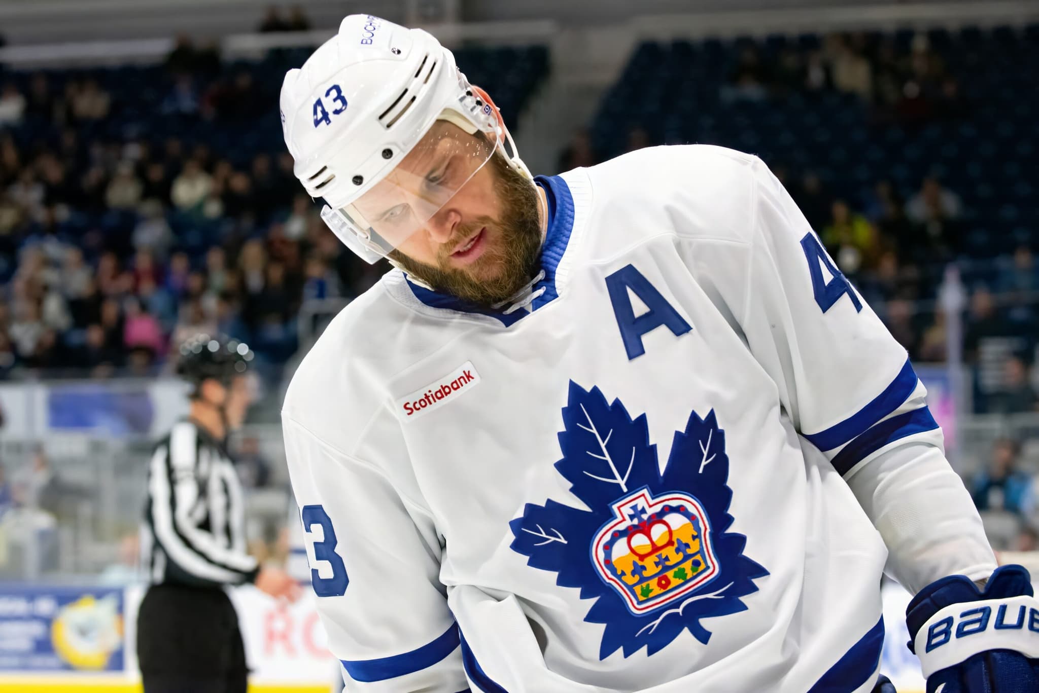 Marlies’ Kyle Clifford goes after Belleville’s Boko Imama in Calder Cup ...