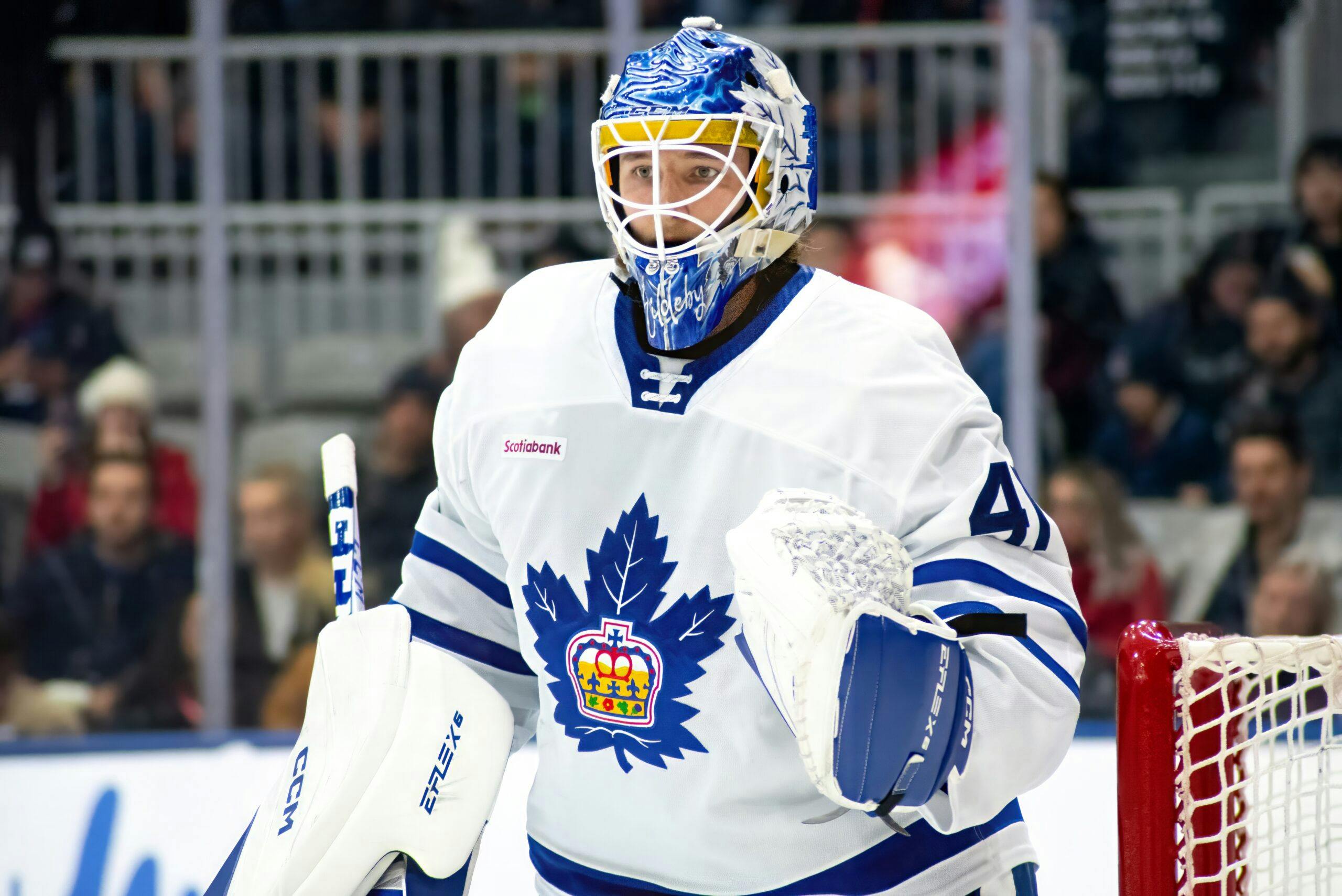 Toronto Maple Leafs call up goaltender Dennis Hildeby from AHL - Daily  Faceoff
