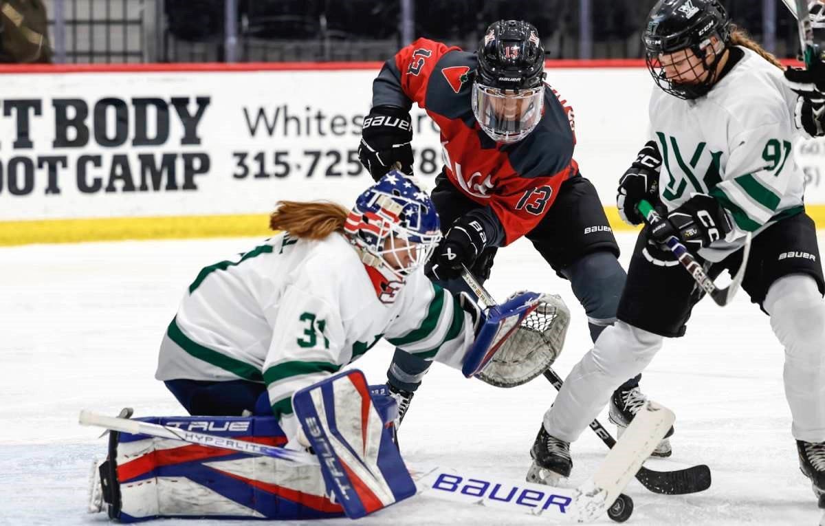 Forecasting the 2024 PWHL season Most exciting and disappointing teams