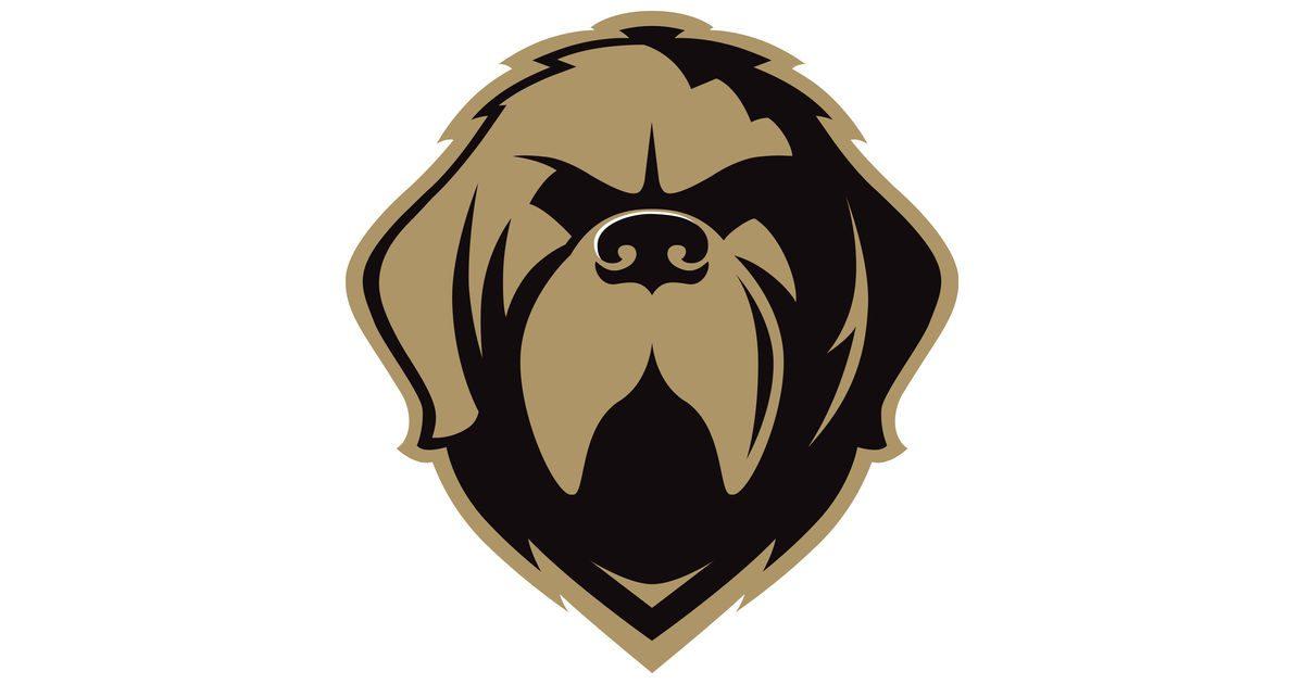 47-year-old Terry Ryan makes comeback with ECHL Newfoundland Growlers