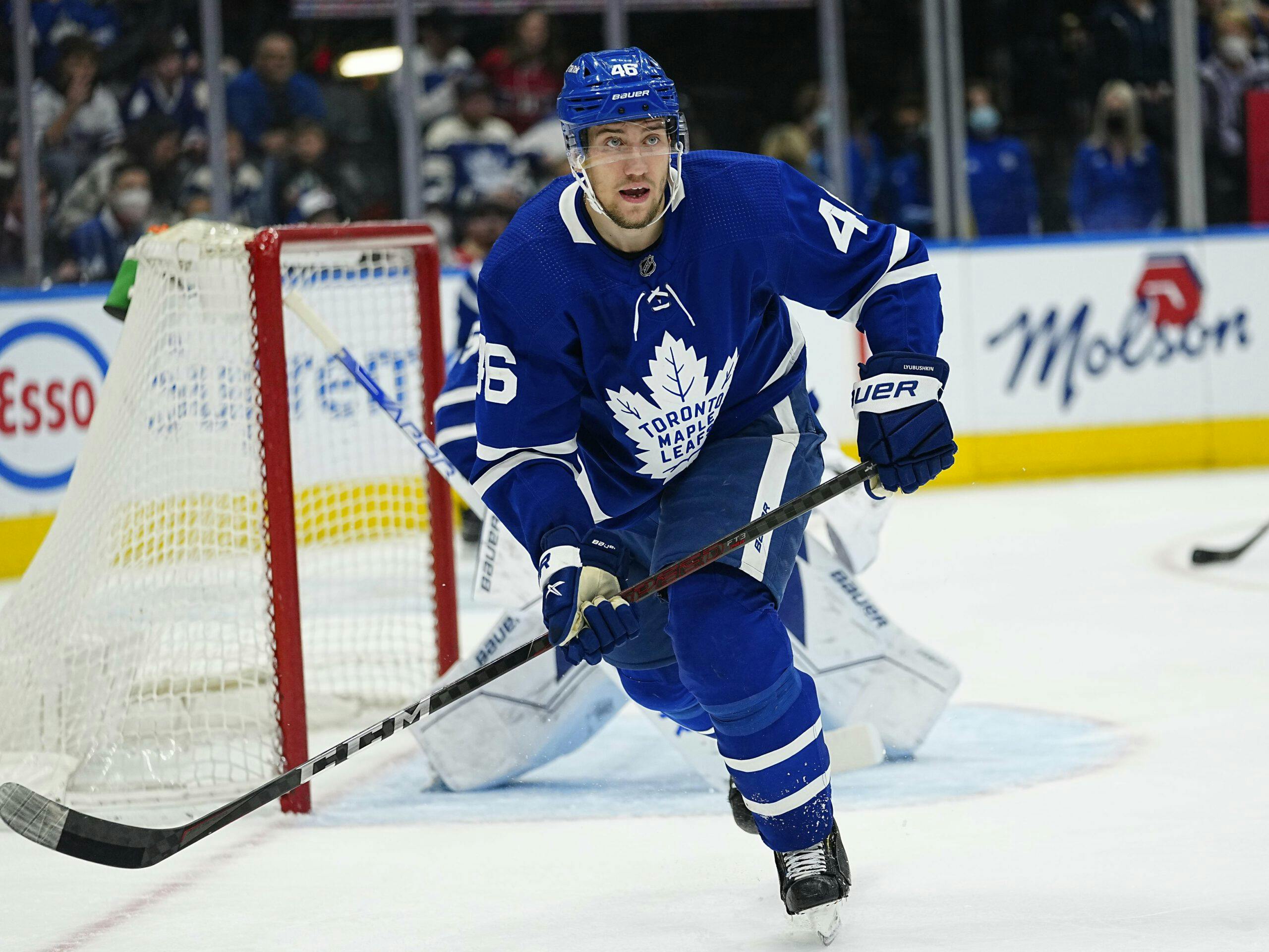 Toronto Maple Leafs re-acquire defenseman Ilya Lyubushkin from Anaheim  Ducks - Daily Faceoff