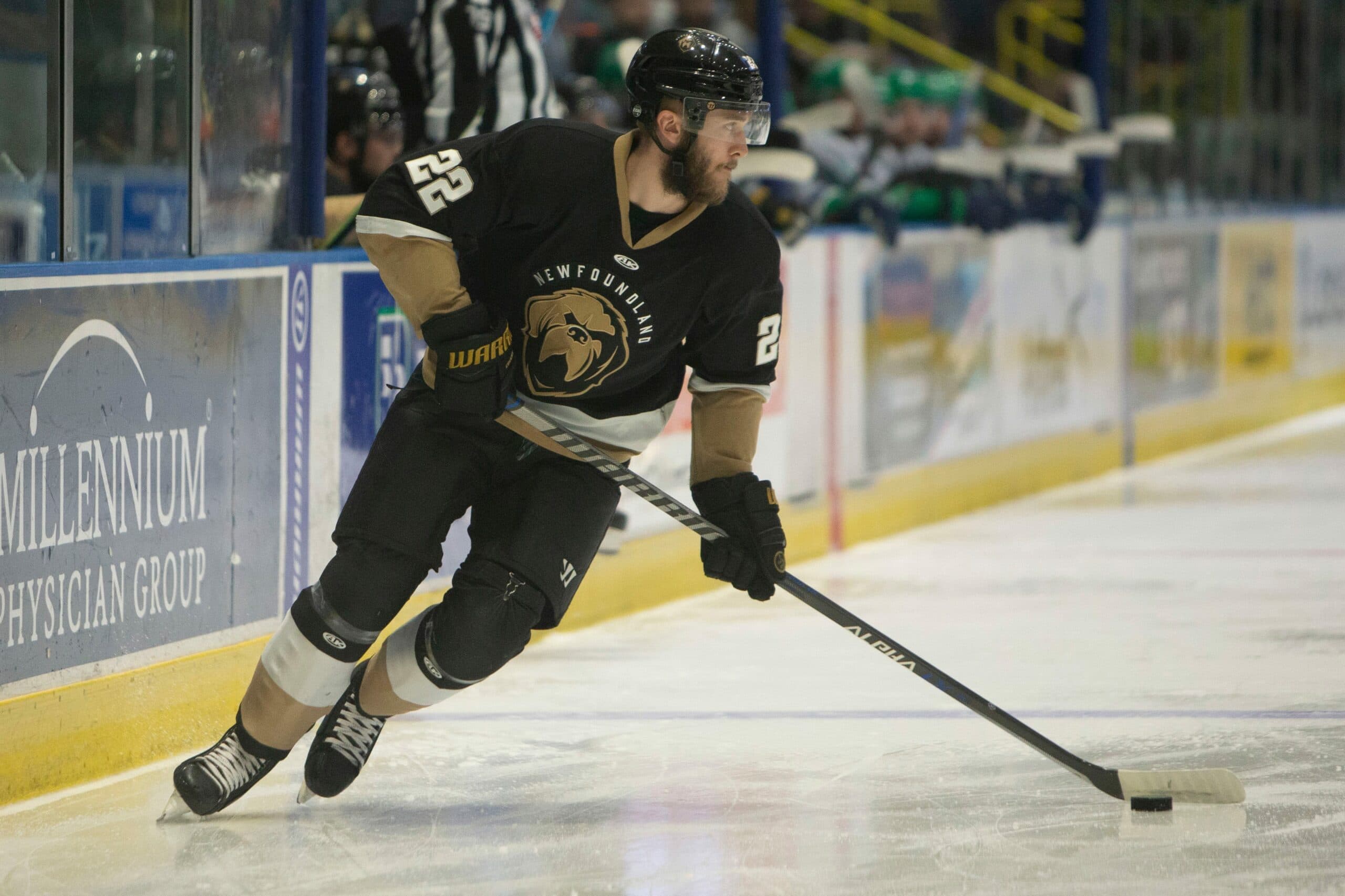 ECHL’s Newfoundland Growlers cease operations