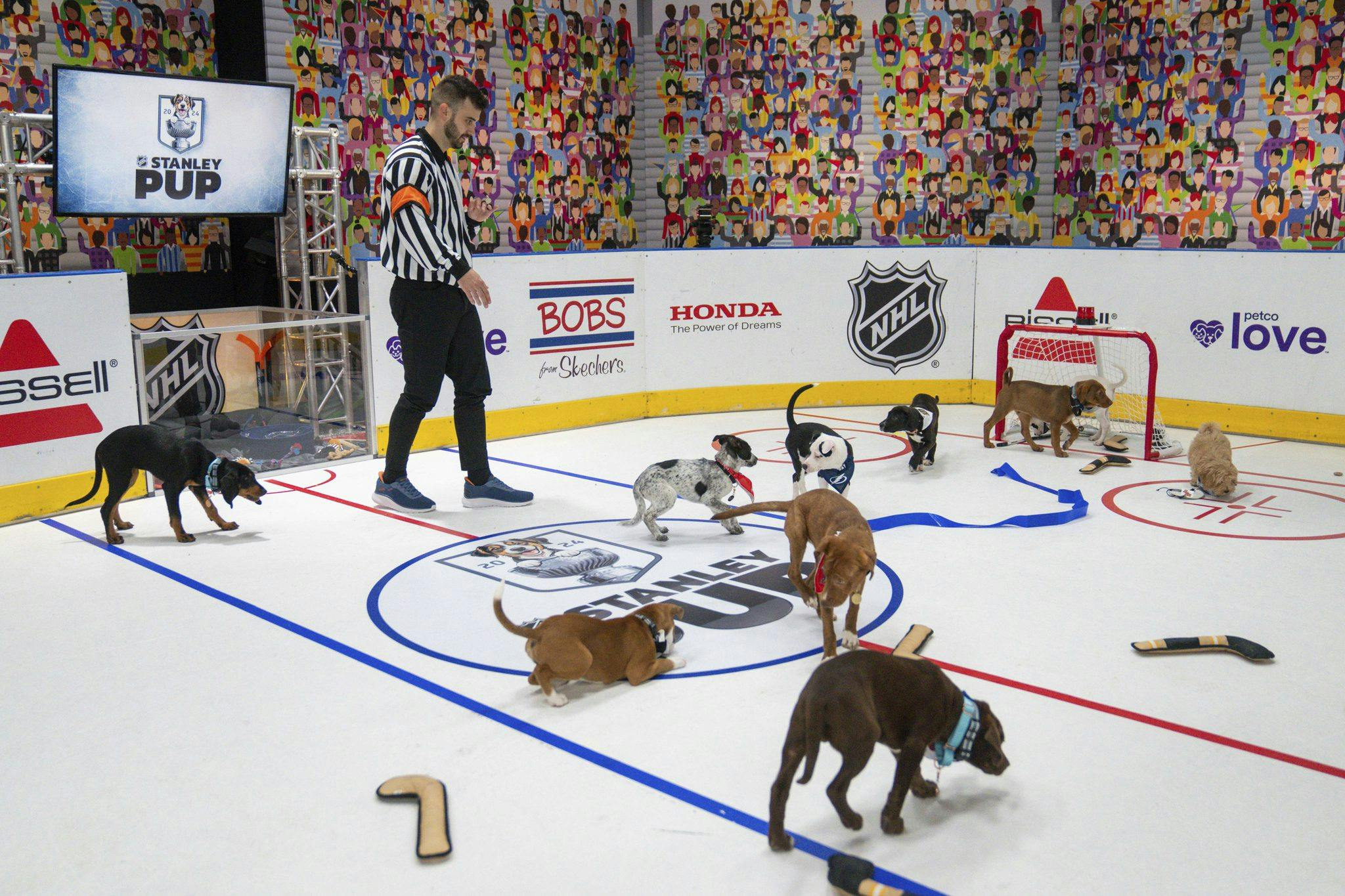 NHL to host first ‘Stanley Pup’ rescue dog competition