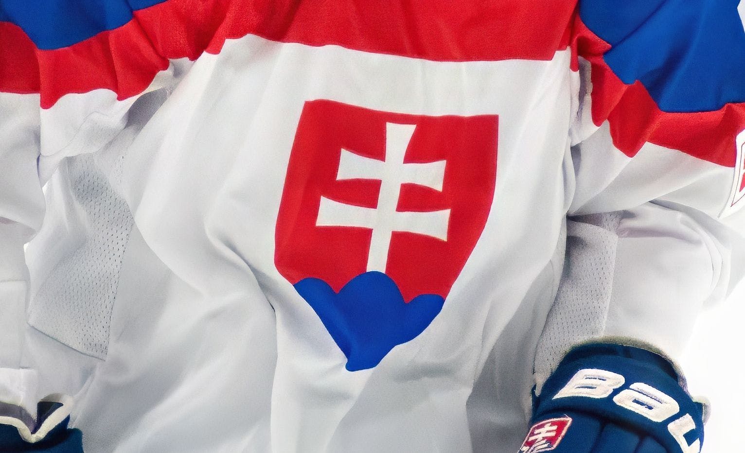 Team Slovakia Logo