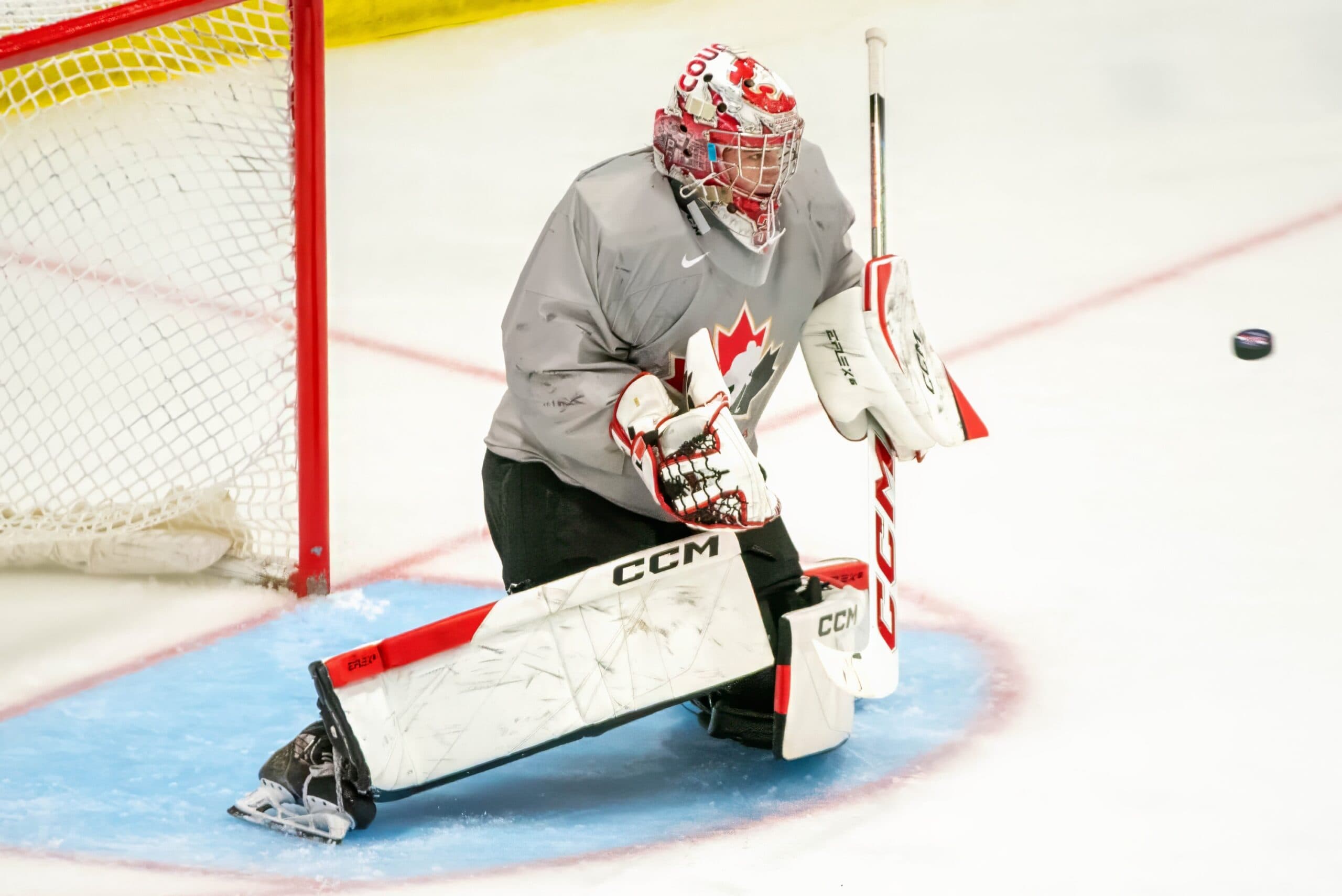 2025 NHL Draft: Top 10 goaltenders you need to know