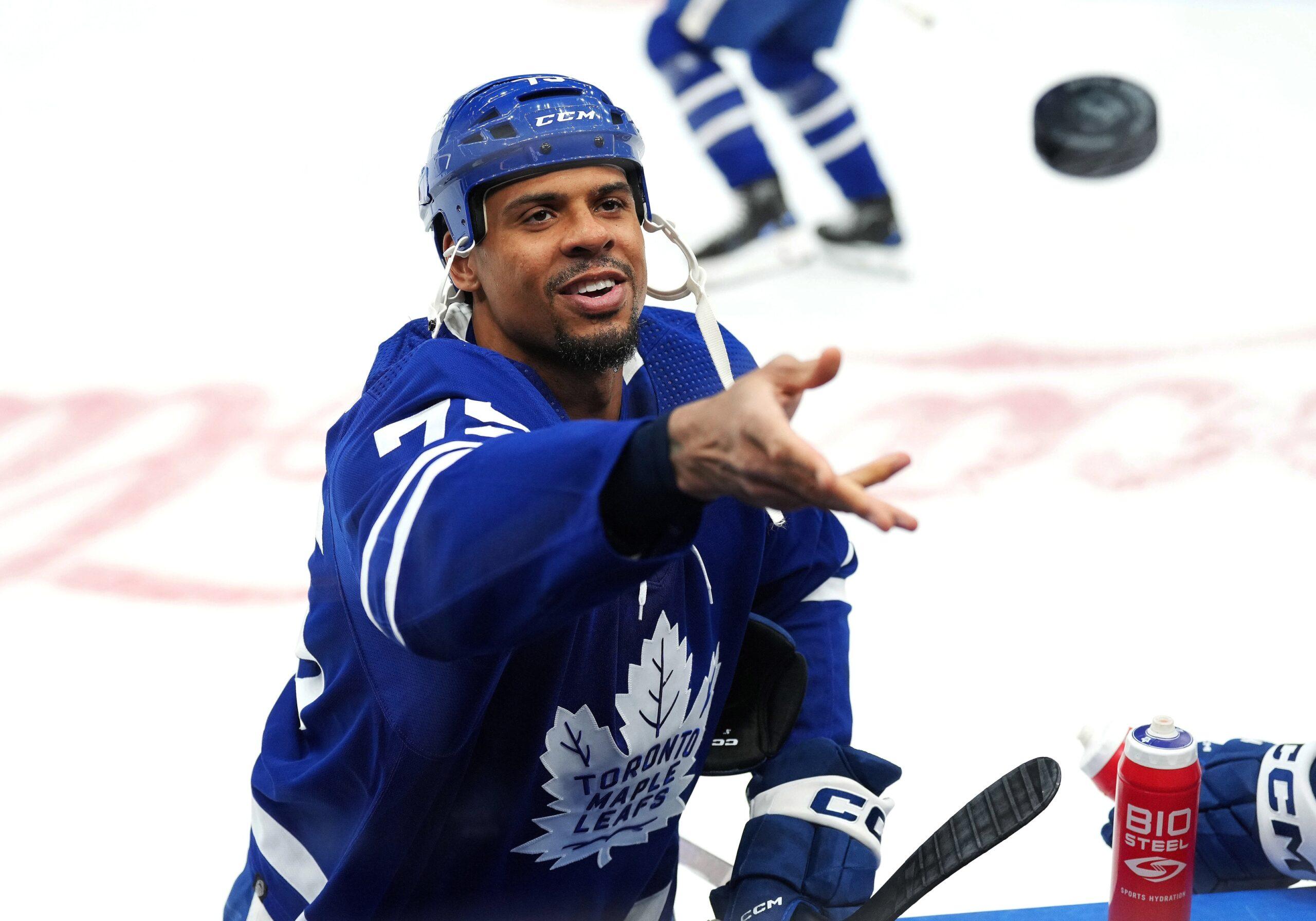 Toronto Maple Leafs winger Ryan Reaves