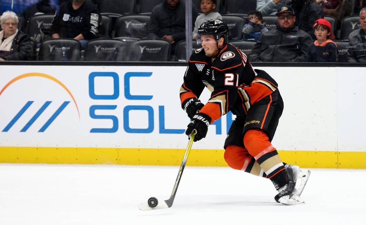 Ducks’ Isac Lundestrom out day-to-day with upper-body injury