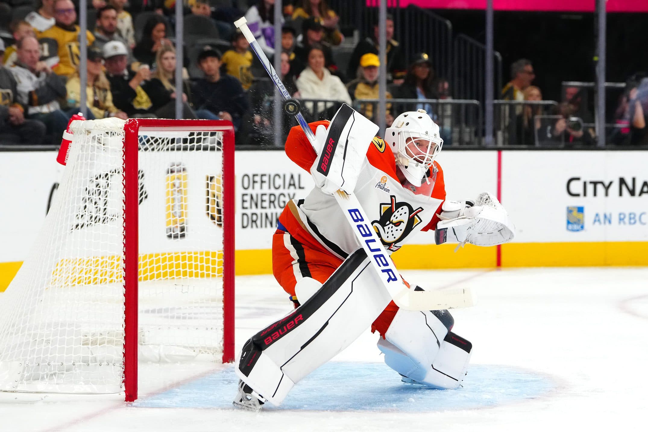 Anaheim Ducks goaltender James Reimer.