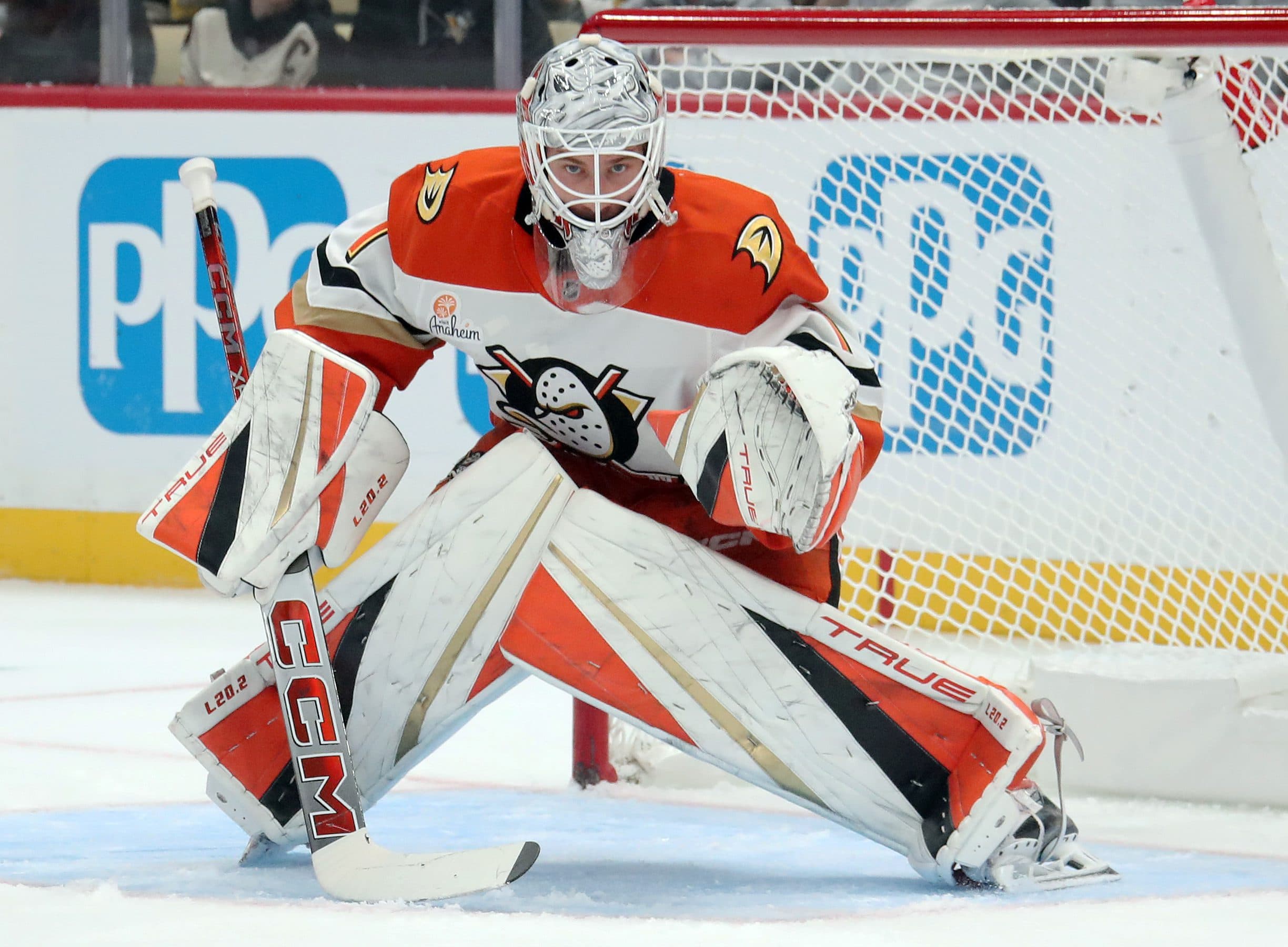 Anaheim Ducks goaltender Lukas Dostal.