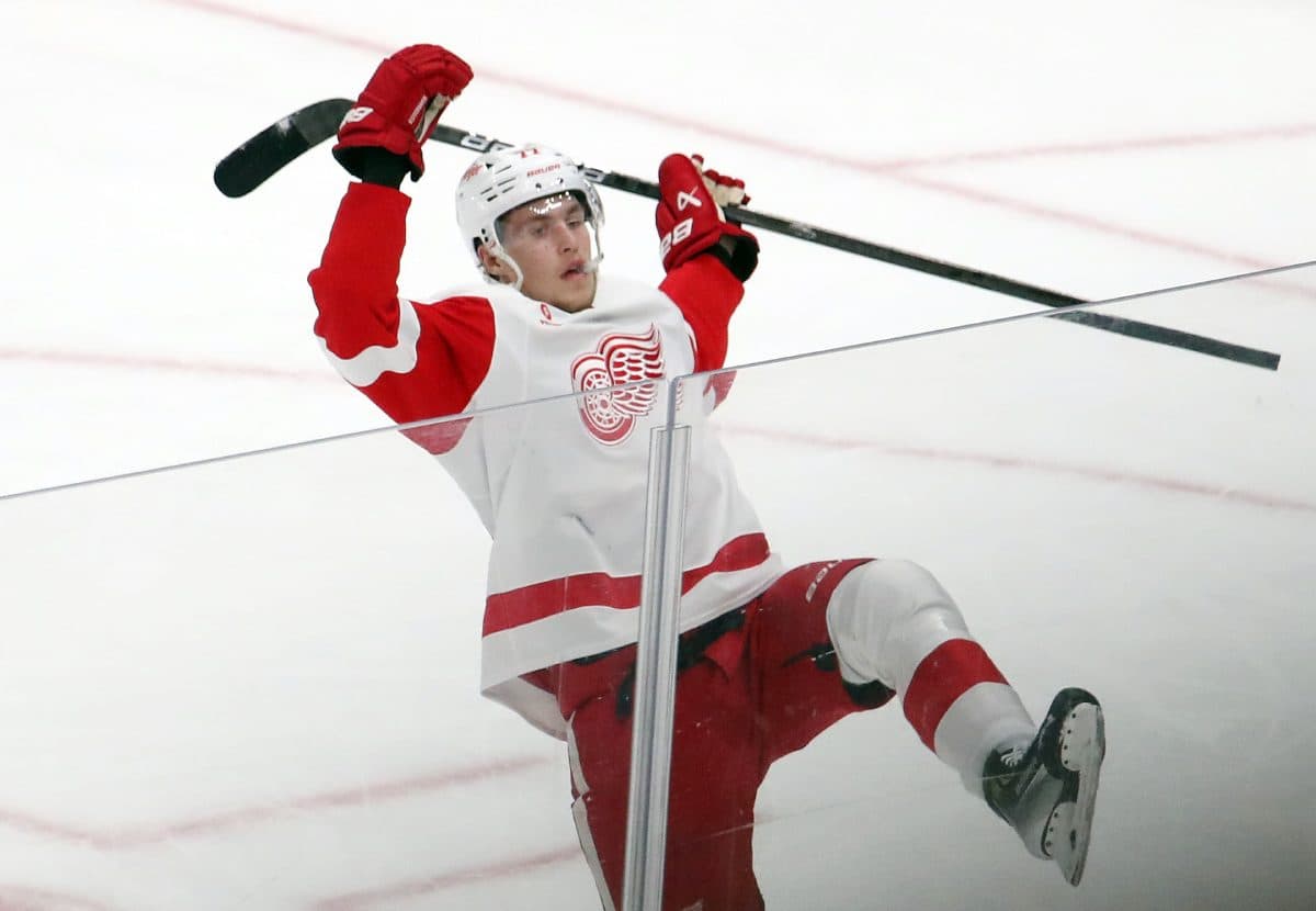 Red Wings place Simon Edvinsson on injured reserve with upper-body injury