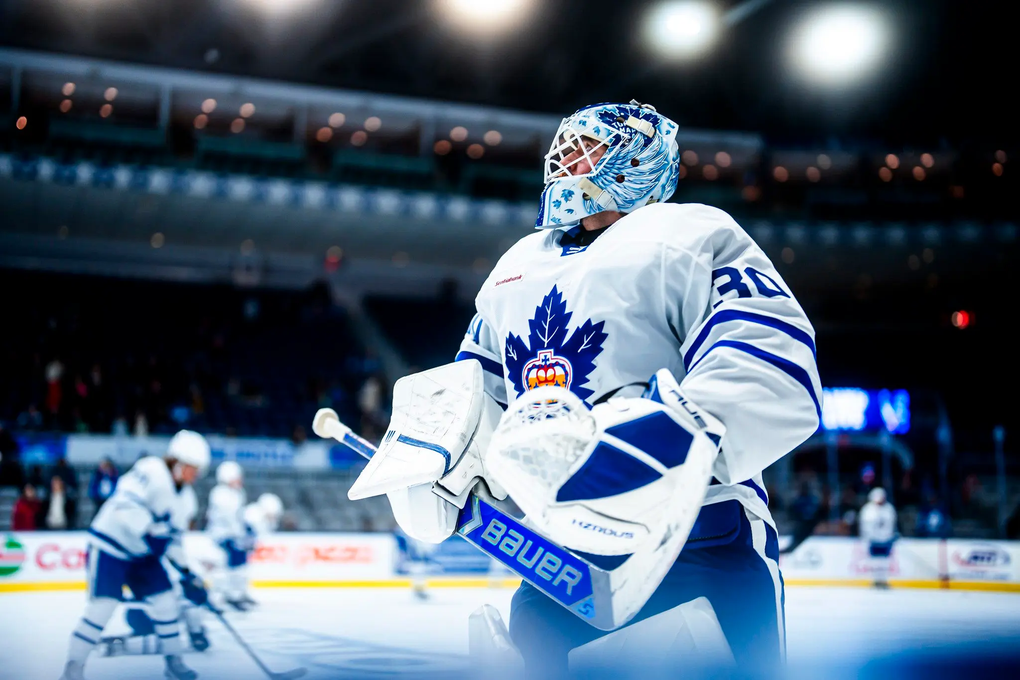 Matt Murray (Bailey McLean/Toronto Marlies)