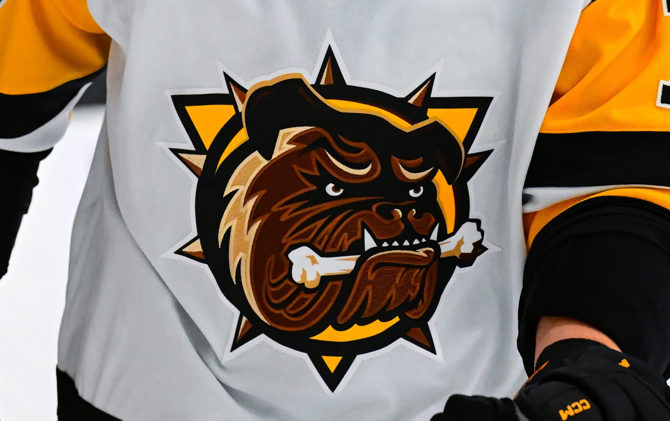 Brantford Bulldogs logo