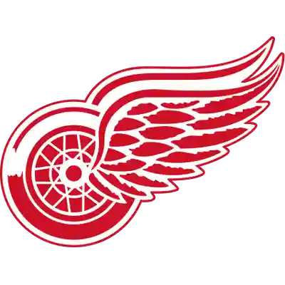Detroit Red Wings