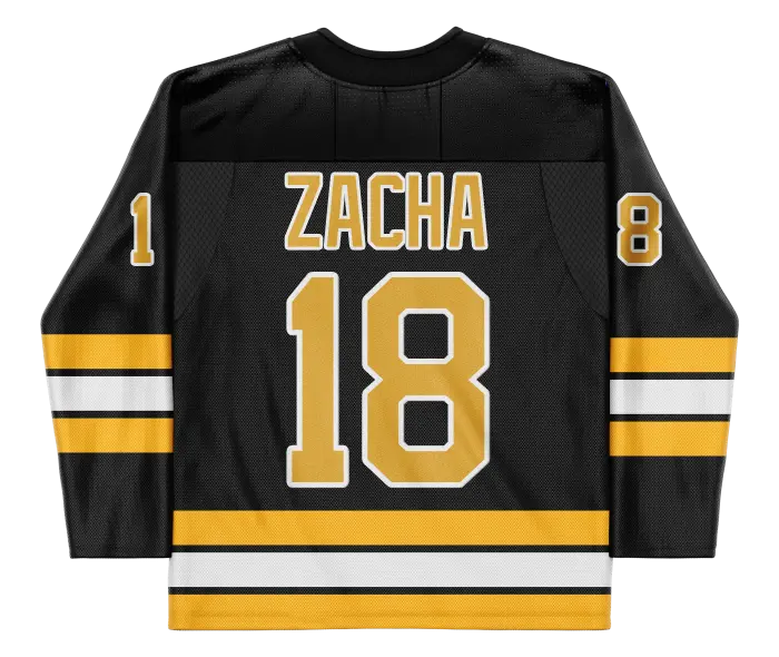 Pavel Zacha