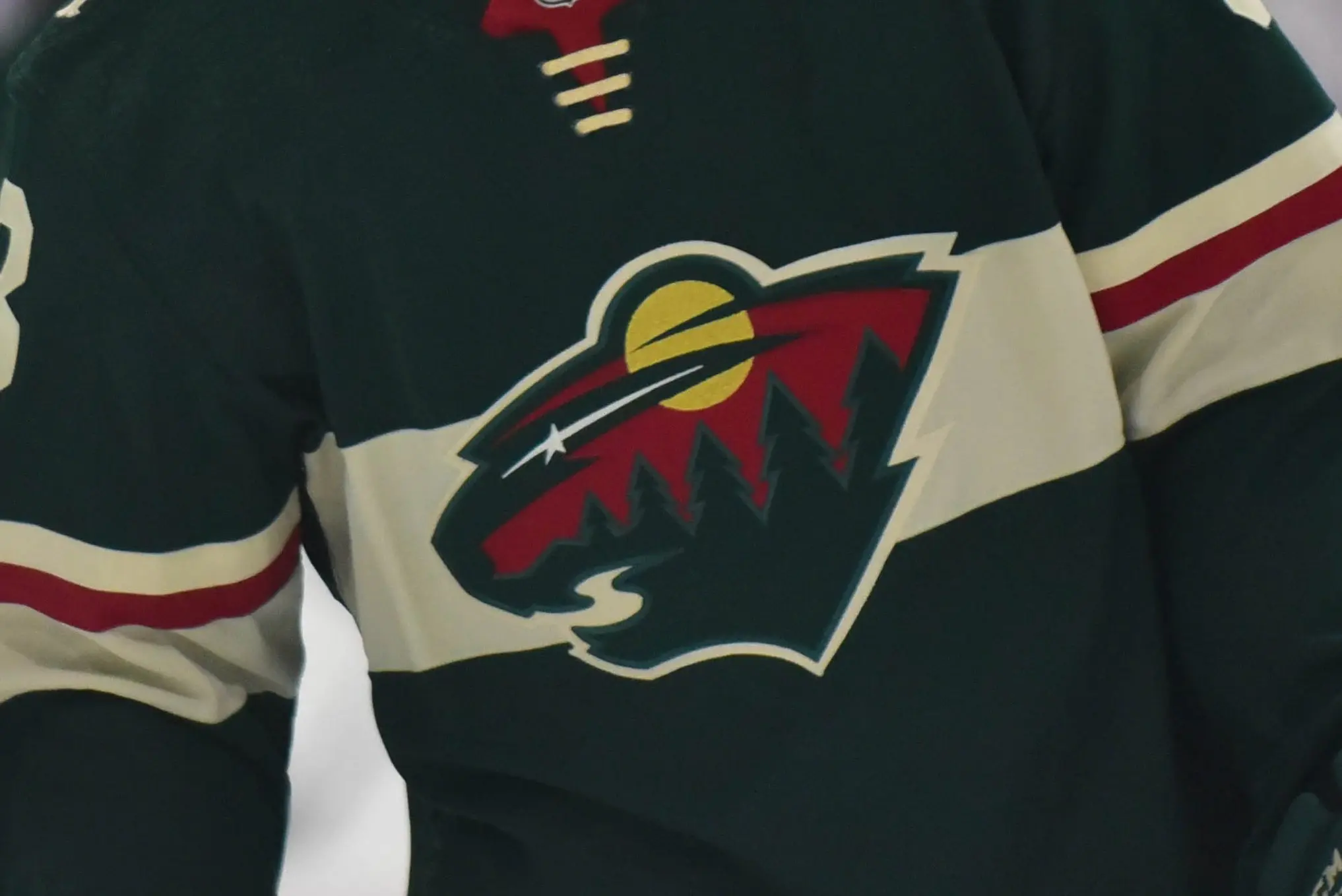 Wild sign Peter Thome as emergency backup goalie
