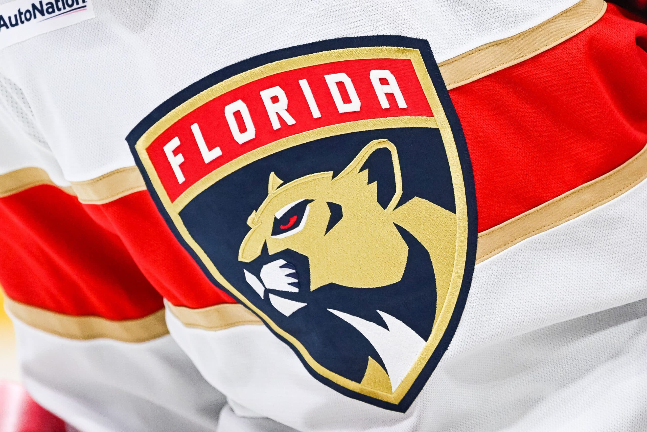 Panthers suspend equipment manager after domestic battery arrest