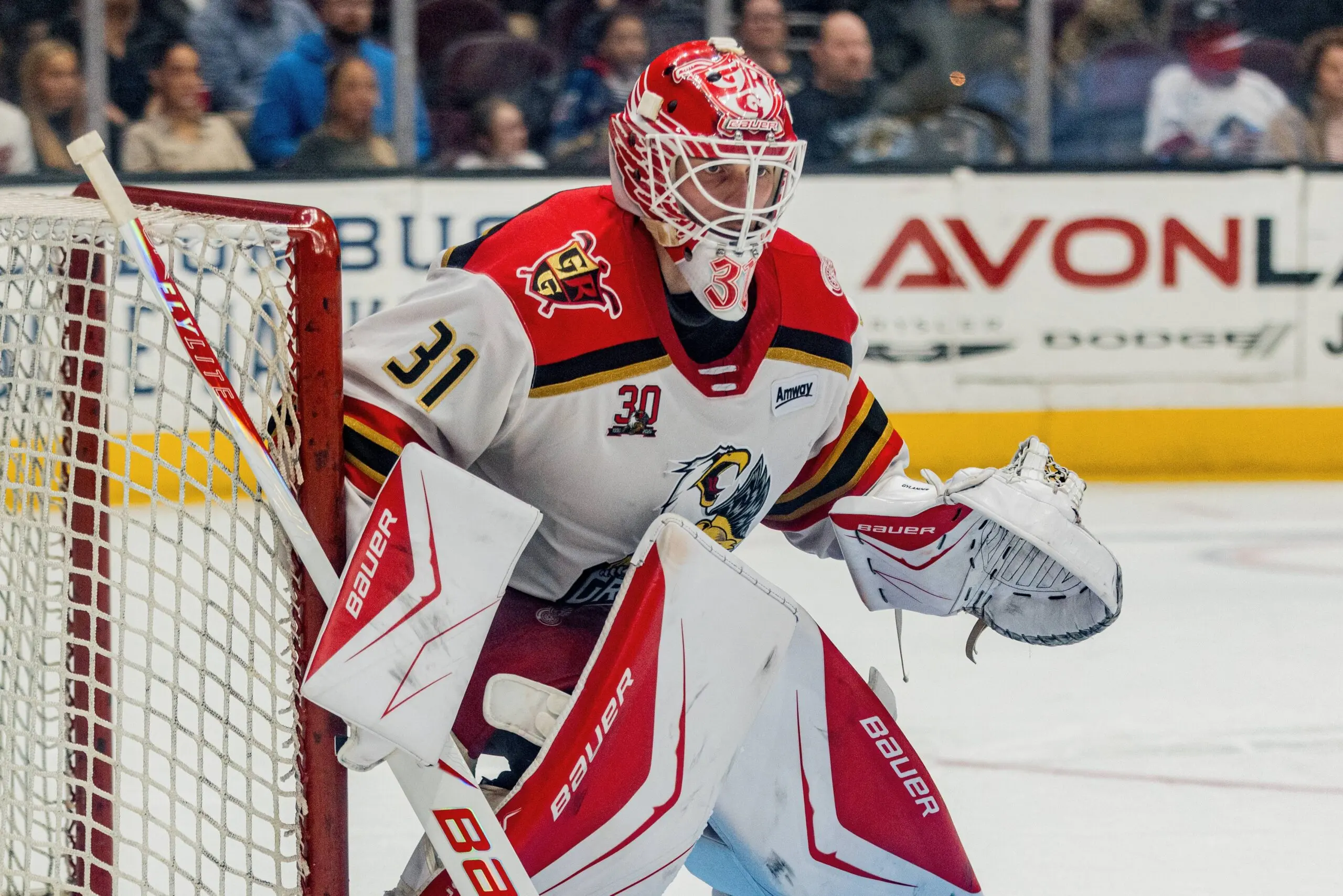 Red Wings sign Carter Gylander to one-year contract