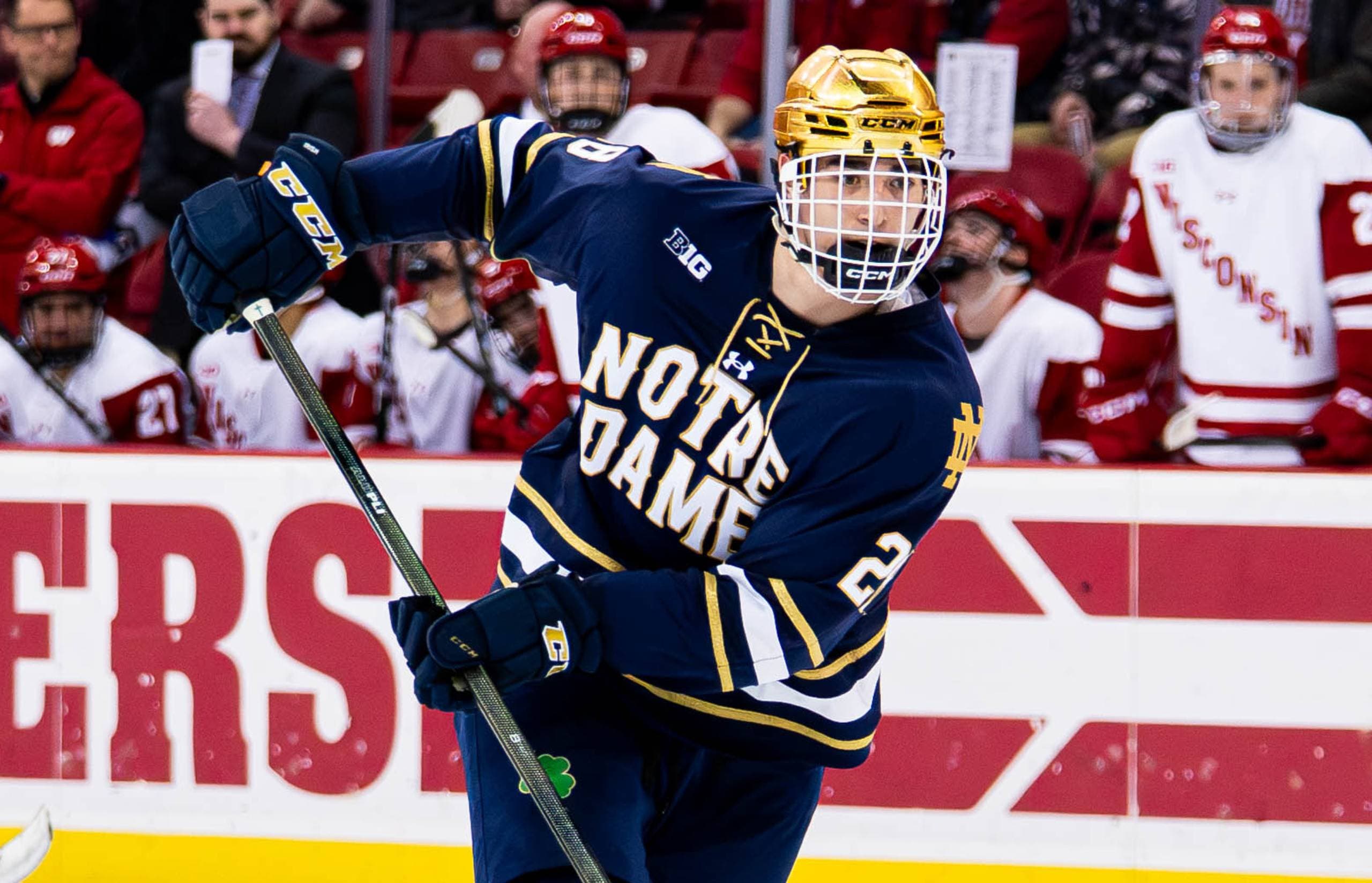 Notre Dame Fighting Irish forward Sutter Muzzatti